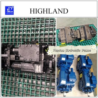 1 rok Odlewane żelazne pompy hydrauliczne tandem z czarnym lub niebieskim kolorem