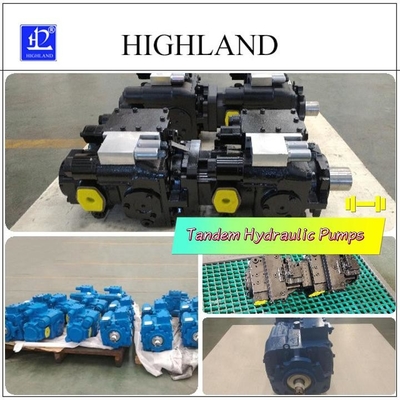 Dostosowalne pompy hydrauliczne tandem z konstrukcją struktury płyty swash