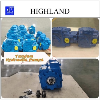 Dostosowalne pompy hydrauliczne tandem z konstrukcją struktury płyty swash