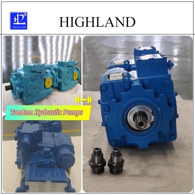 1 rok Odlewane żelazne pompy hydrauliczne tandem z czarnym lub niebieskim kolorem
